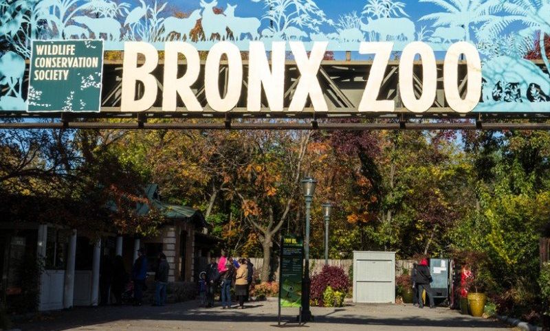 KEBUN Binatang Bronx, New York, Amerika Serikat.*
