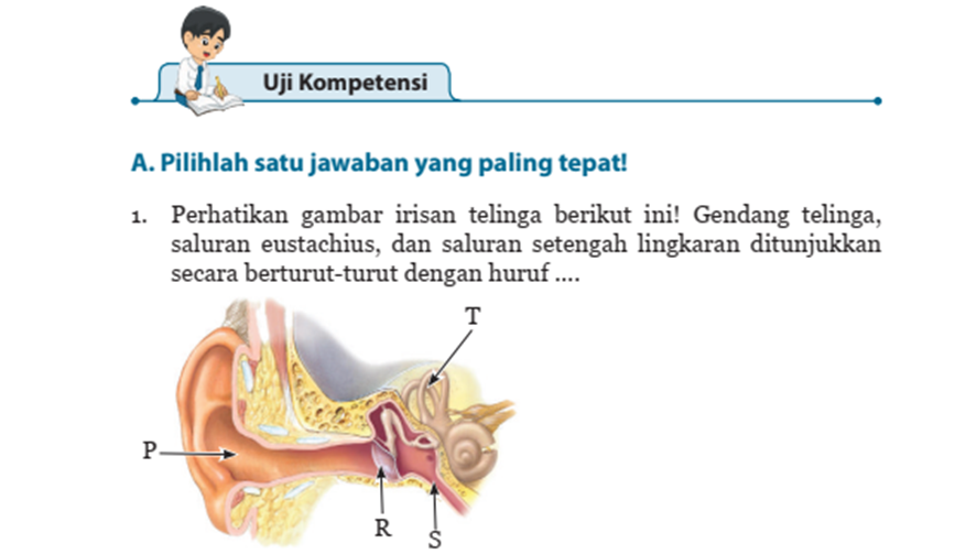 Telinga manusia normal mampu mendengar bunyi yang memiliki frekuensi ... hz