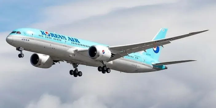 Akibat Cuaca Buruk, Pesawat Korean Air Tergelincir Dan Lewati Landasan ...