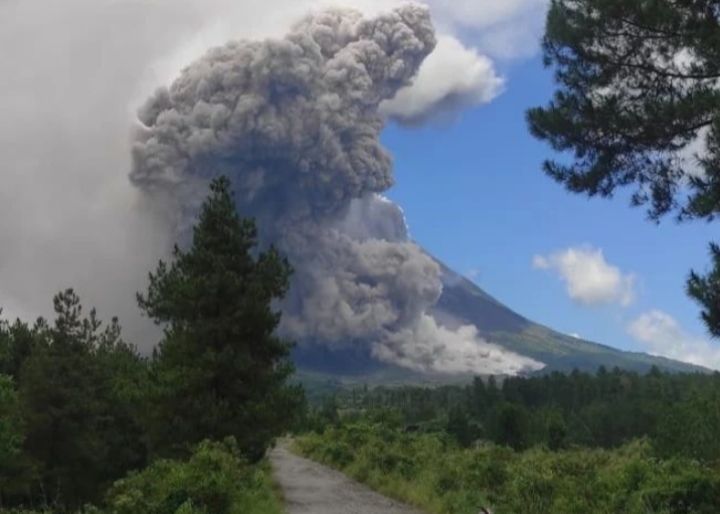 Erupsi Gunung Merapi muntahkan guguran awan panas cukup tinggi pada Sabtu, 11 Maret 2023. Bahaya 7 km dari arah puncak terutama kali Kali Bebeng dan Krasak.