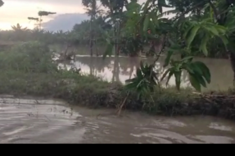 1 Warga Meninggal Dunia Akibat Diterjang Banjir Bandang di Semarang