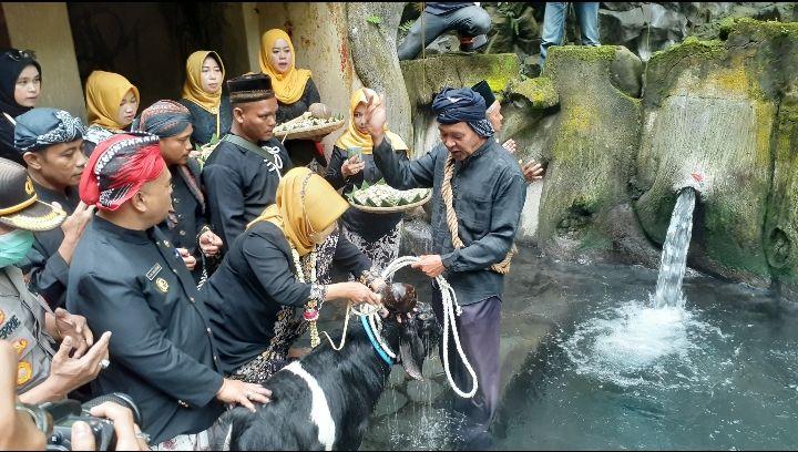 Bupati Tegal Umi Azizah saat melaksanakan ritual memandikan kambing kendit di pancuran 13 Obyek Wisata Guci.