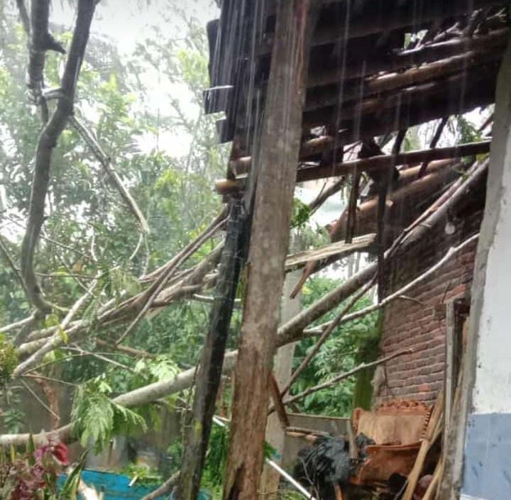 Rumah milik Sigit Suhendro, warga desa Kandangwangi RT 3 RW 1 Kecamatan Wanadadi rusak tertimpa pohon