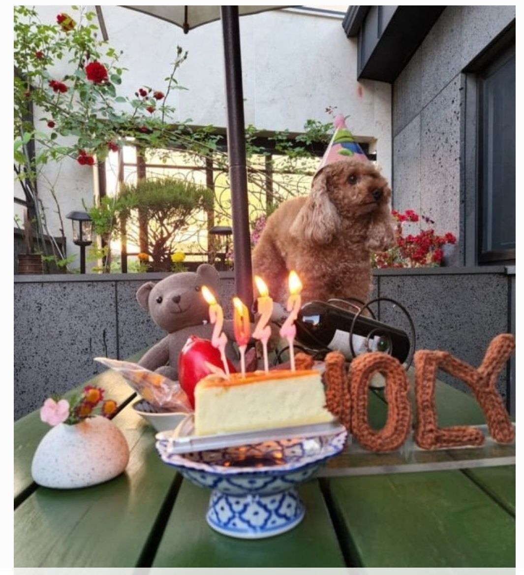 Suga BTS merayakan ulang tahun anjingnya bernama Holly 