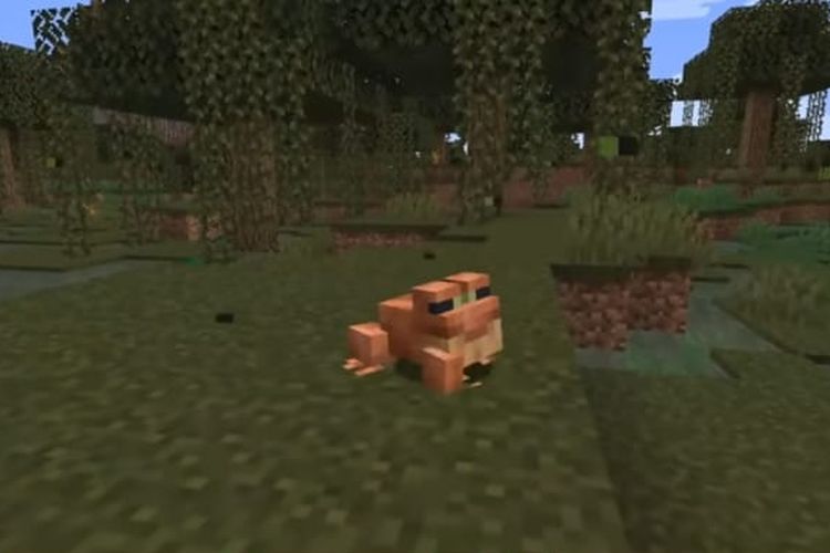 Play Minecraft 1.19 The Wild Update with a Legal Download Link from Mojang Studios, There is an Update Feature!