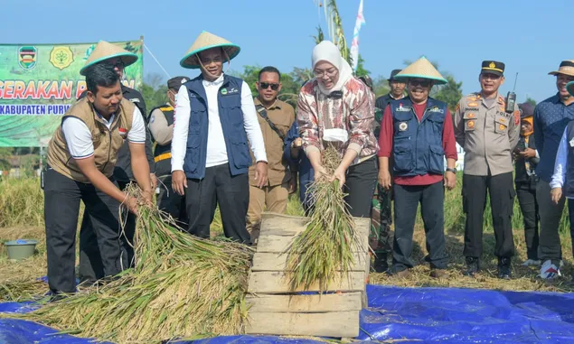 Panen Raya Sukses, Ketersediaan Pangan Purwakarta Aman