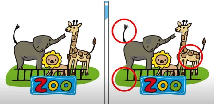 Jawaban tes IQ kebun binatang