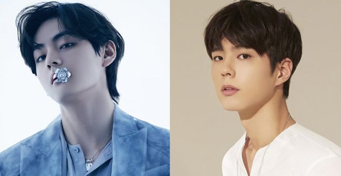 V BTS dan Park Bo Gum menjadi Celine Boys