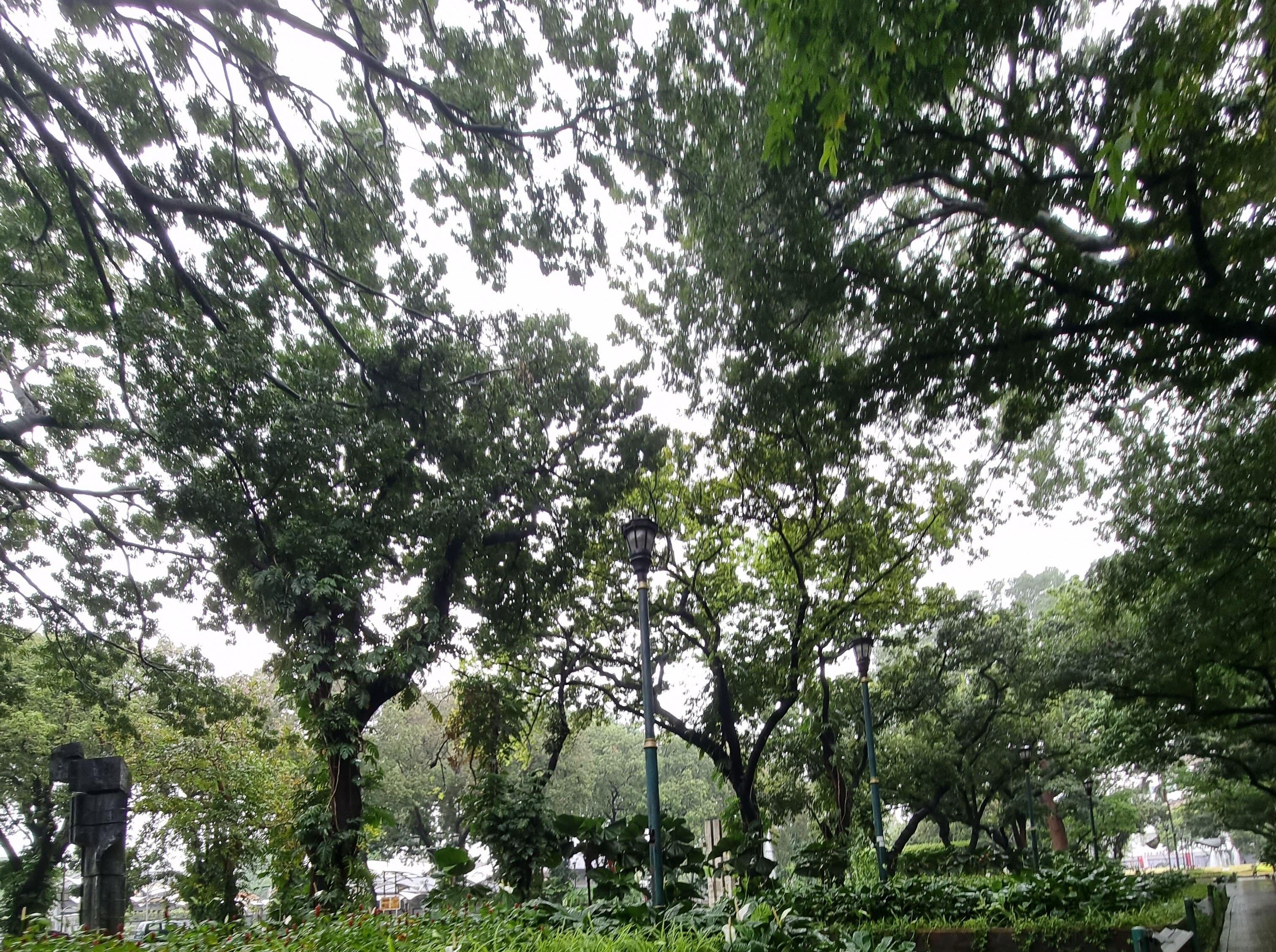 Taman Suropati, outdoor space di Jakarta Pusat, favorit mahasiswa sebagai tempat untuk healing.
