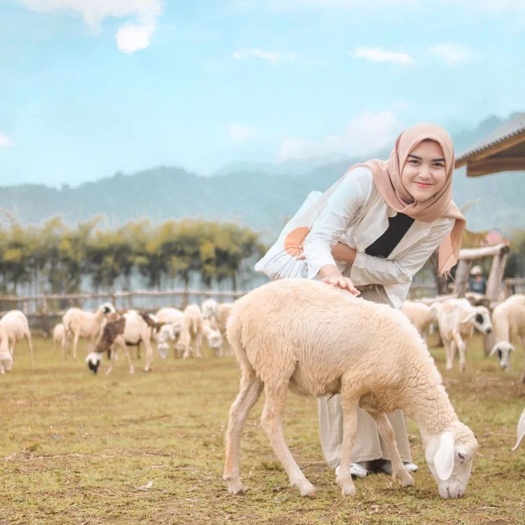 wisata peternakan anak