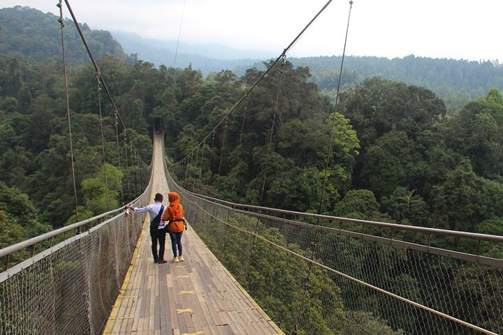 Jembatan Gantung Terpanjang di Asia Tenggara ada di Indonesia, Wajib ke sini Pemandangannya Indah