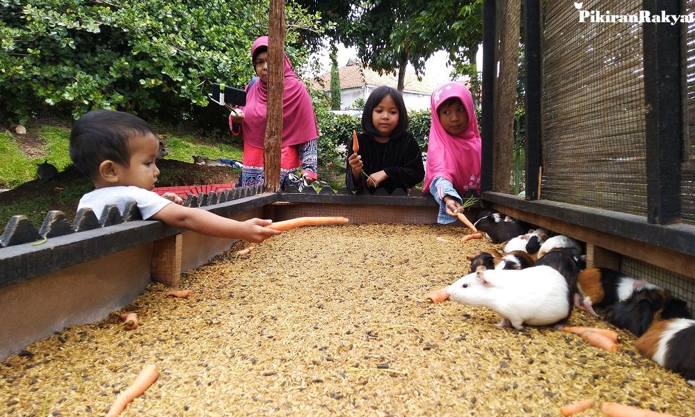 Bandung Selatan Tak Seramai Biasanya Saat Libur Natal Dan Tahun Baru Dua Hal Jadi Penyebabnya Pikiran Rakyat Com