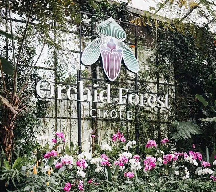 Orchid Forest Cikole, Hutan Wisata di Kawasan Bandung, Pesona Surga ...