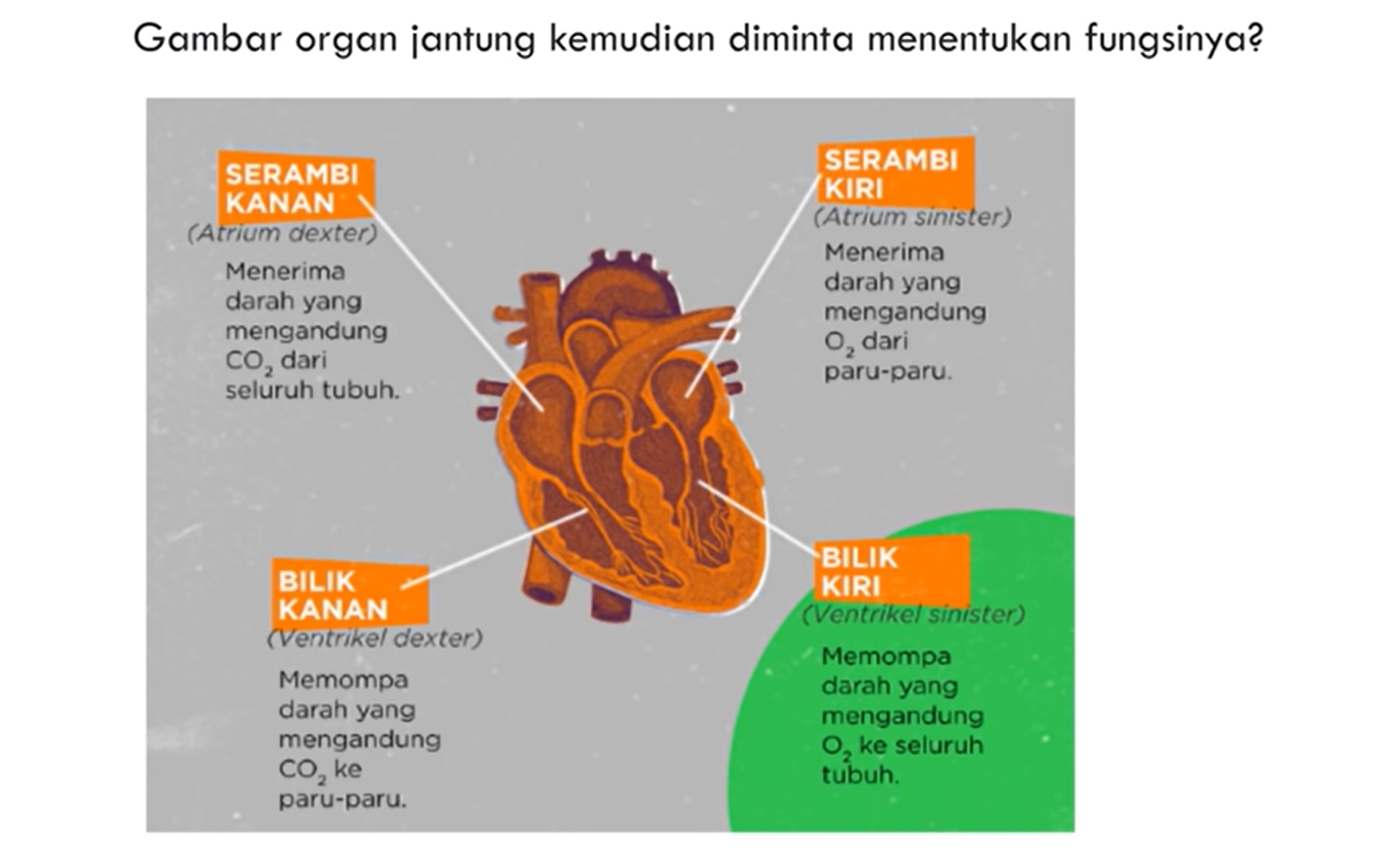 gamabr organ jantung contoh soal PPPK 2021