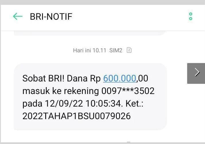 Hore Bsu Rp 600 Ribu Cair Jika Nik Ktp Terdaftar Di Sini Cek Blt Subsidi Gaji 2022 Di Bpjs 6860