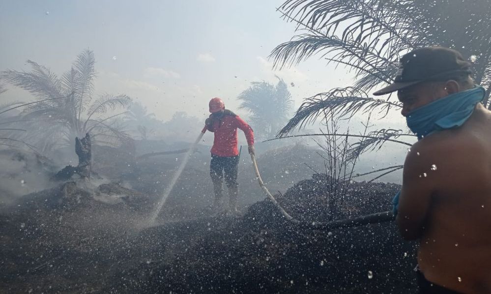 Ilustrasi kebakaran hutan dan lahan (karhutla) di Provinsi Riau