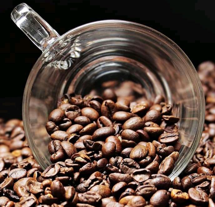 Selain menambah fokus ternyata meminum kopi dapat menurunkan risiko kematian.
