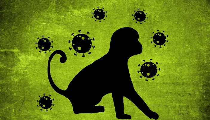 Cacar Monyet Merebak, Berikut Daftar Negara Endemik yang Terkonfirmasi