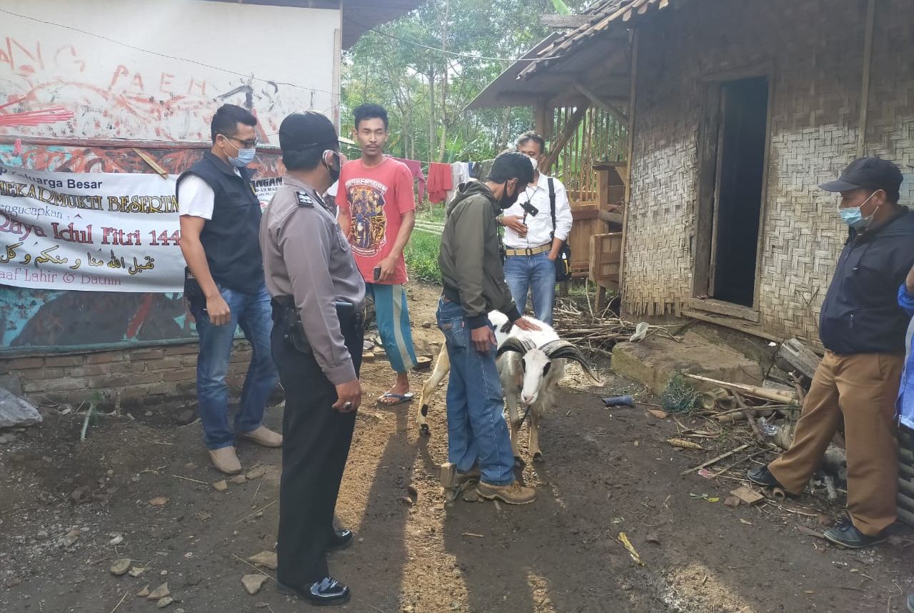 Petugas Polsek Tarogong Kidul mengamankan domba yang dicuri IW dari pembelinya sebagai barang bukti, Senin 19 Juli 2021./Agus Somantri/Galamedia