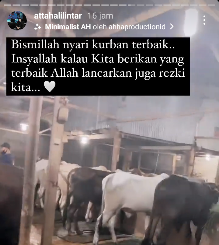 Suami Aurel Hermansyah, Atta Halilintar tengah mencari hewan kurban dalam menyambut Hari Raya Idul Adha 2021.*