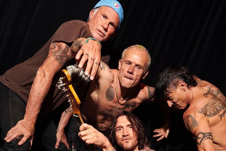Red hot chili peppers носок
