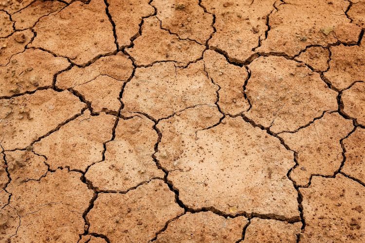 Hadapi El Nino, Jokowi Minta Anggaran Bantuan Sembako Diperbanyak