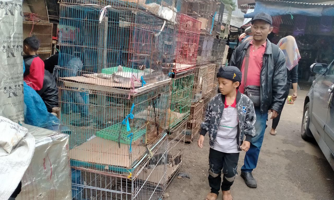 Tren Hobi Memelihara Burung Surut Tahun 2019, Pedagang di Pasar Sukahaji Bandung Beberkan Alasannya - Pikiran Rakyat