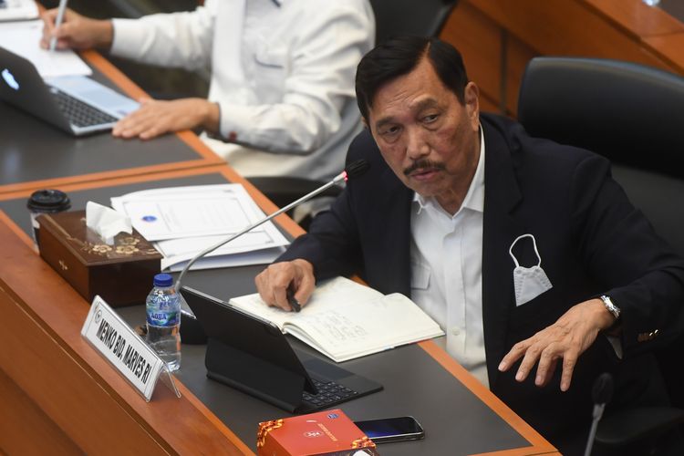 Luhut: Waspadai Puncak Gelombang Omicron XBB pada 2 Bulan ke Depan