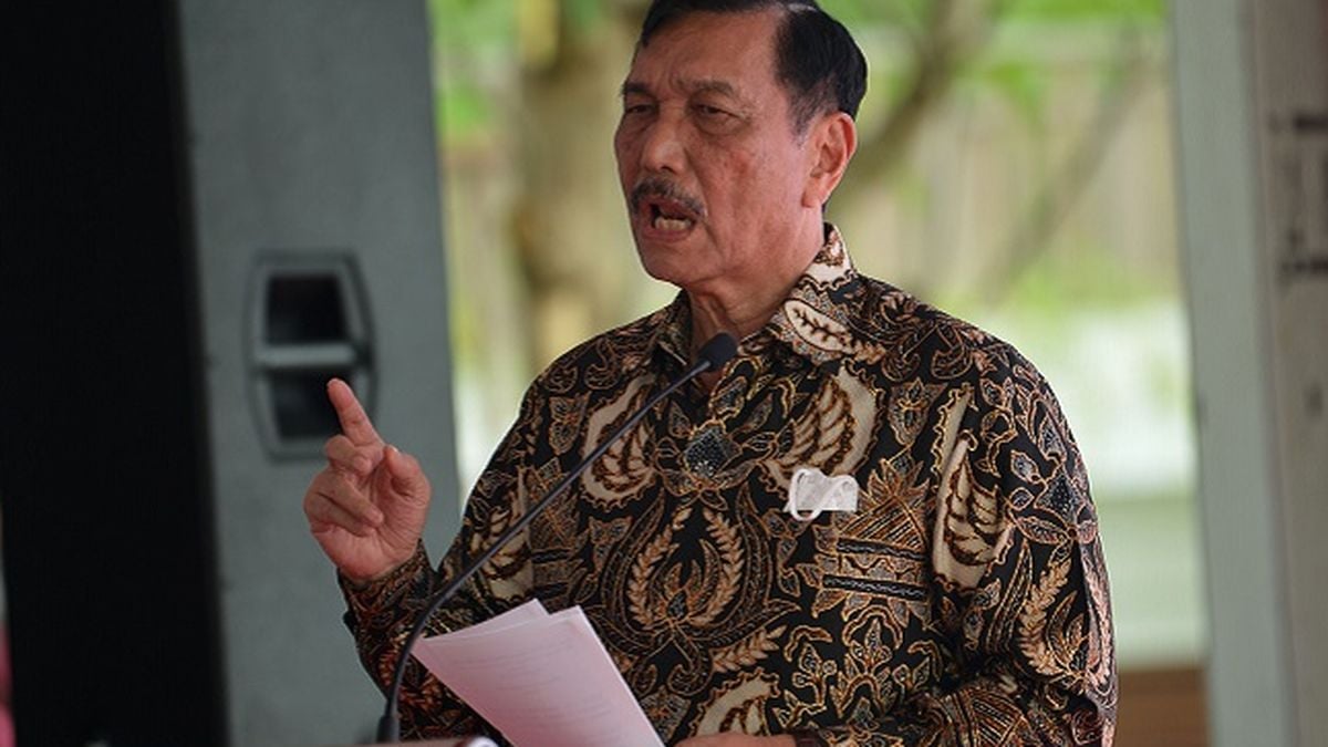 Luhut Binsar Sentil Keras Tom Lembong: Anda Harus Refleksi, Tak Perlu Merasa Paling Bagus