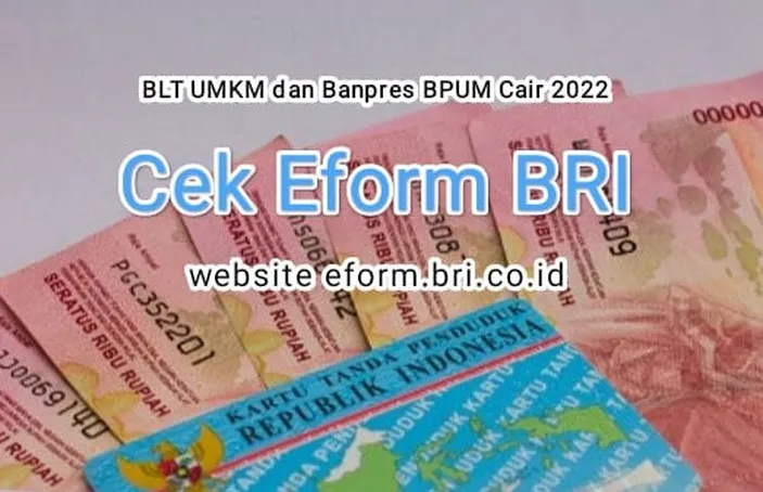 Cara Cek NIK KTP Untuk Pencairan BLT UMKM 2022 Atau BPUM Lewat Eform ...