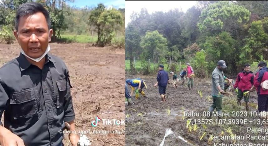 enanaman kembali bunga Edelweis Rawa di lokasi lahan budidaya yang mengalami kerusakan Instagram