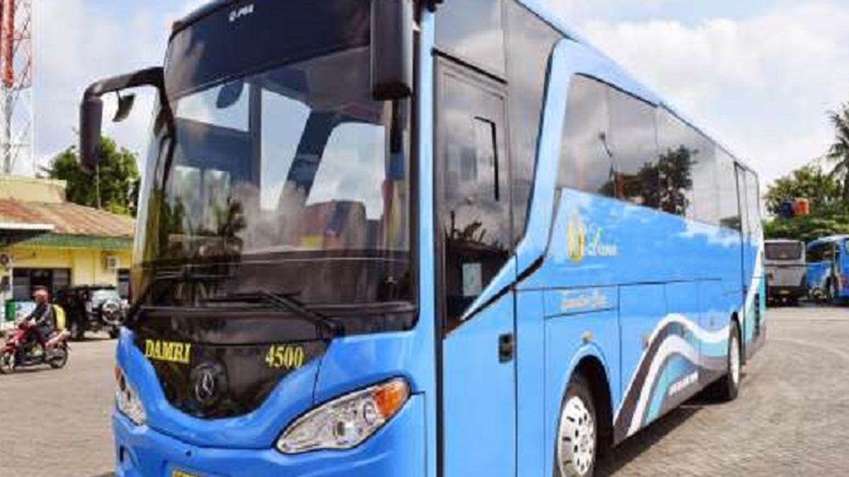 Perum Damri Buka Lowongan Pekerjaan Untuk Pengemudi, Berikut ...