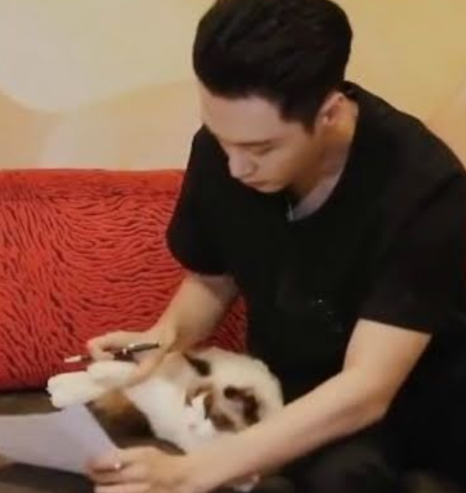 Lay EXO dan kucingnya. 