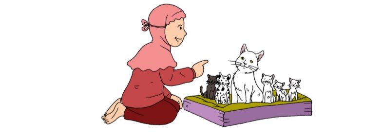 Pertumbuhan kucing milik Siti
