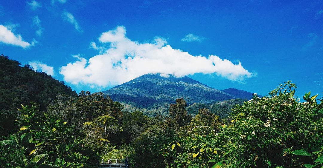 Taman Nasional Gunung Gede Pangrango, Jawa Barat.