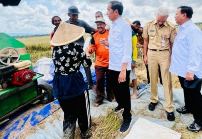 Presiden Jokowi saat mengunjungi panen raya di Jawa Tengah.