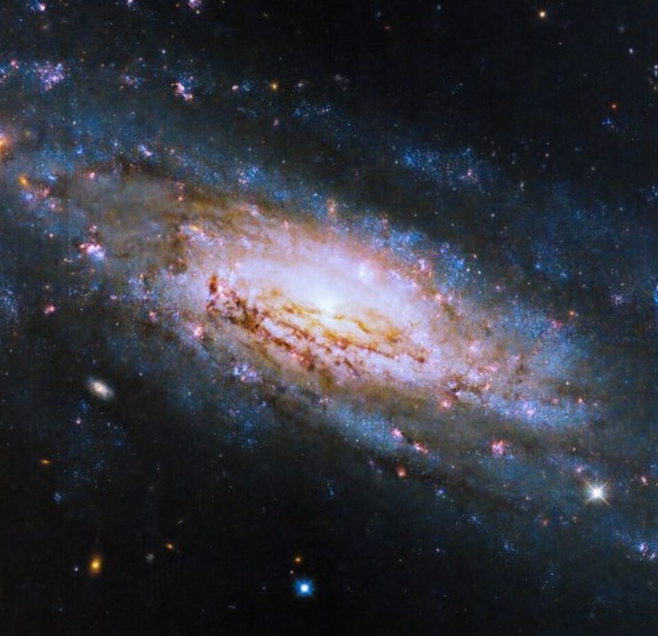 Gambar Teleskop Luar Angkasa Hubble NASA ini menampilkan galaksi spiral NGC 4951, yang terletak sekitar 50 juta tahun cahaya dari Bumi. NASA, ESA, dan D. Thilker (Universitas Johns Hopkins); Pemrosesan Gambar: Gladys Kober (NASA/Universitas Katolik Amerika)