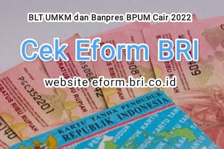 Langkah Dan Cara Cek BLT UMKM 2022 Lewat Eform.bri.co.id Untuk Cairkan ...