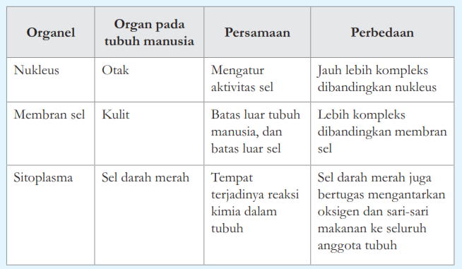 Tabel Persamaan dan Perbedaan Organel Sel