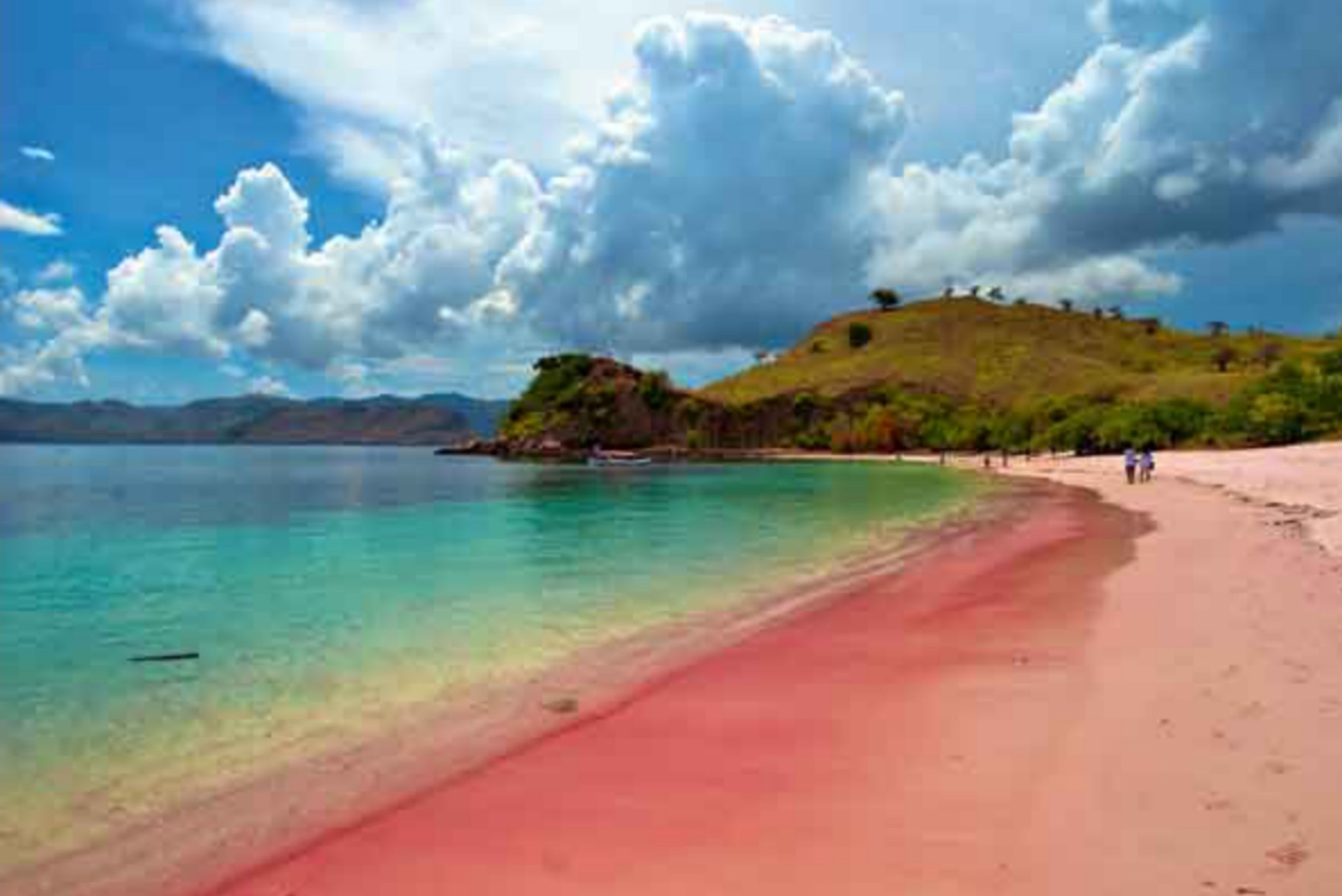 Pantai Pink, The Hidden Paradise di Sumatera Utara, Taman Surganya Pantai di Nias yang Belum Banyak Dikunjungi