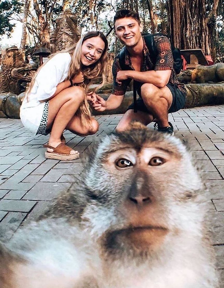 Salah satu spot penting untuk berwisata di Ubud, Bali di mana harus berfoto bersama monyet.