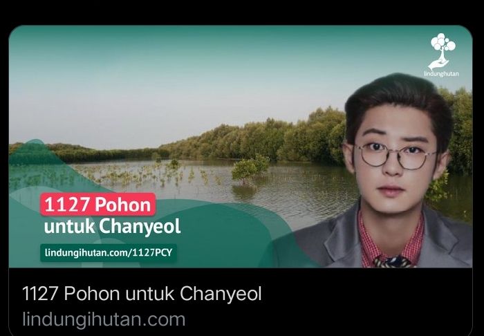 Proyek tanaman sebanyak 1127 Pohon bakau dipersembahkan untuk Chanyeol EXO