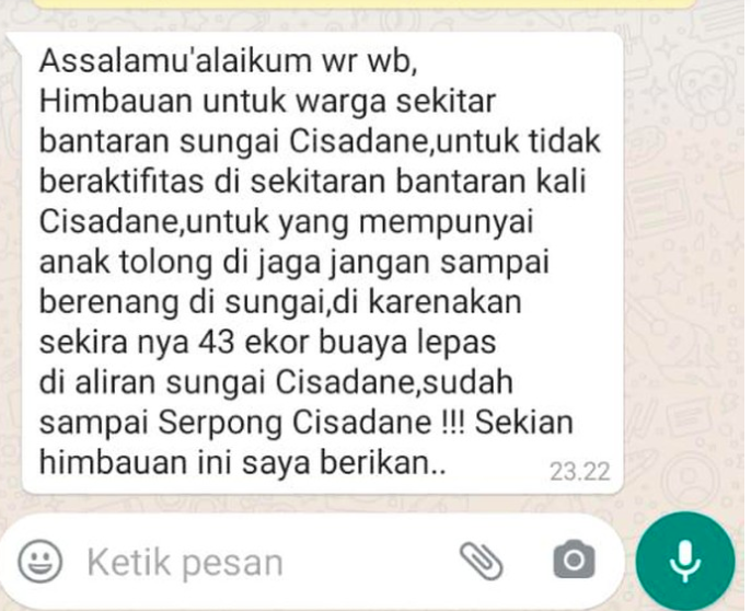 Ini info pesan berantai yang beredar melalui layanan pesan WhatsApp terkait 43 ekor buaya lepas ke Sungai Cisadane. 