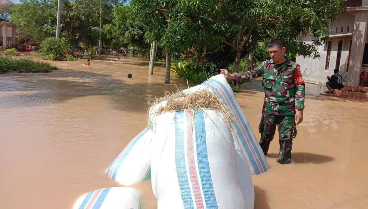 Hasil panen warga di Kelurahan Salubattang terendam banjir. 206 KK pilih mengungsi lantaran rumah direndam banjir 
