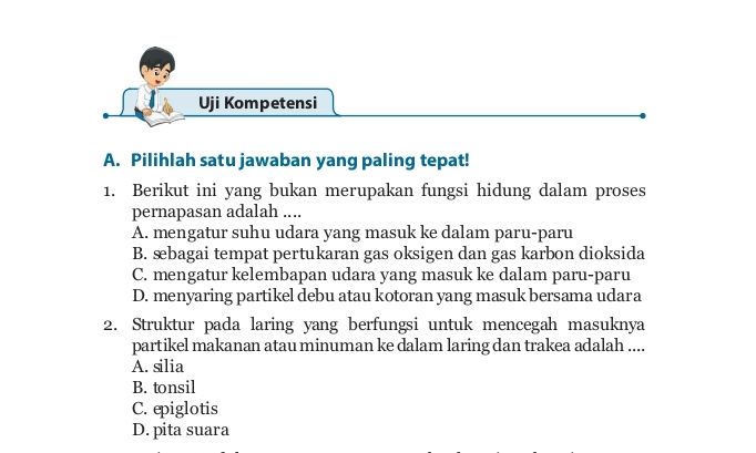 Uji Kompetensi 8 Ipa Kelas 8 Sistem Pernapasan Manusia Pg Semester 2 ...