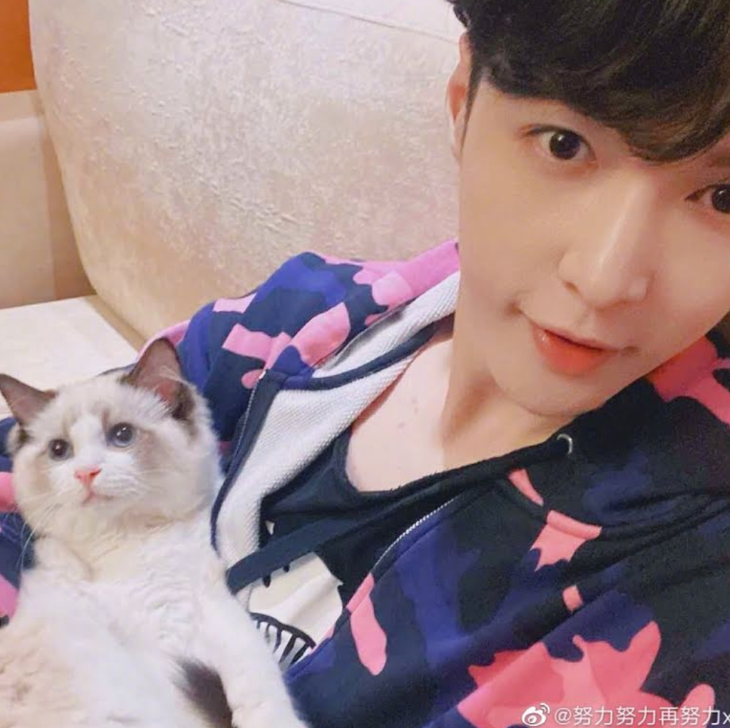 Lay EXO dan kucingnya. 