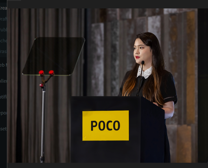 Anne Wang, Head of Marketing POCO Global .