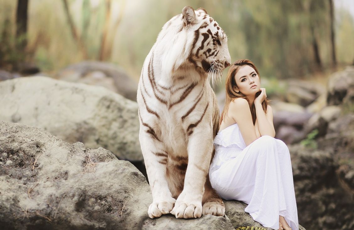 Ilustrasi.5 Sifat Weton Yang Disukai Khodam Harimau Putih, Apa Anda Termasuk?