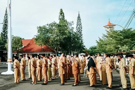 Ilustrasi. Berikut ini informasi seputar pembukaan rekrutmen CASN untuk PPPK dan PNS tahun 2023 yang ditujukan bagi tenaga honorer.