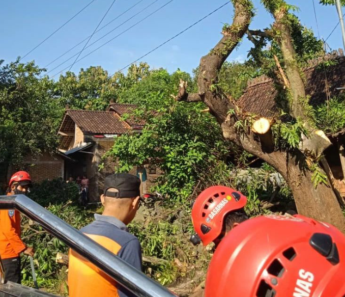 Diduga Tersengat Listrik Saat Tebang Pohon Di Jepara, Seorang Kakek Berhasil Dievakuasi Dalam Keadaan MD. / Basarnas Jateng
